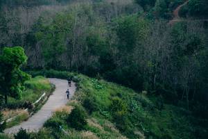 BIB: 
                            <button type="button" onclick="openModal(21900268)" class="btn btn-primary btn-sm float-right btn-popup" data-toggle="modal" data-target=".modal-high-quality">
                        <i class="fas fa-shopping-cart"></i> Add to Cart
                    </button>
                                            <button type="button" onclick="isThisMe(21900268, true)" class="btn btn-success btn-sm float-right btn-popup btn-isme hidden" data-toggle="tooltip" data-placement="bottom" title="นี่คือรูปของคุณใช่ไหม คลิกที่นี่เพื่อเอาเข้าอัลบั้ม">
                        <i class="fas fa-plus"></i> Add to album
                    </button>
                    <button type="button" onclick="isThisMe(21900268, false)" class="btn btn-warning btn-sm float-right btn-popup btn-isnotme hidden">
                        <i class="fas fa-ban"></i> Remove from album
                    </button>